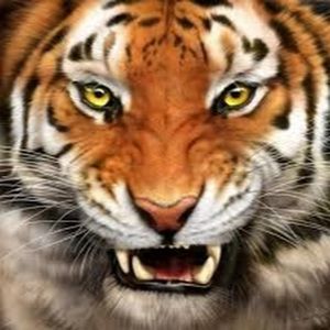 Meet your Posher, Eden